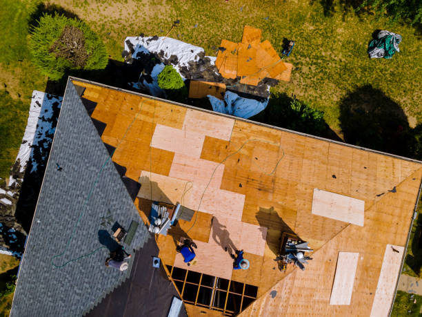 Best Flat Roof Repair Services  in Bushnell, FL
