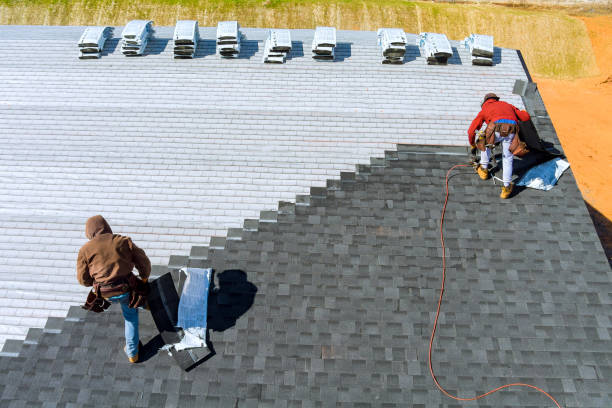 Best Roof Gutter Cleaning  in Bushnell, FL