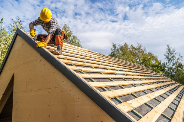 Best Storm Damage Roof Repair  in Bushnell, FL