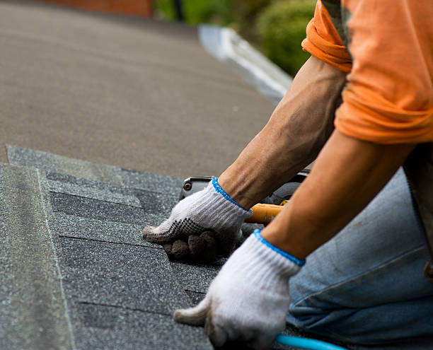 Best Gutter Installation and Roofing  in Bushnell, FL
