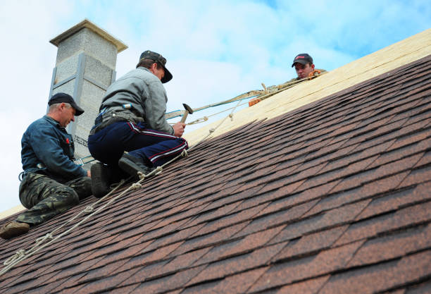Best Roof Gutter Cleaning  in Bushnell, FL