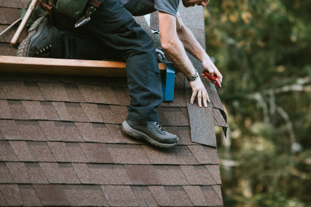 Best Roof Repair Services  in Bushnell, FL